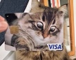 違和感なさすぎる...　愛猫デザインのクレジットカード、本人に合わせてみたらあまりにも「ジャストフィット」すぎた件