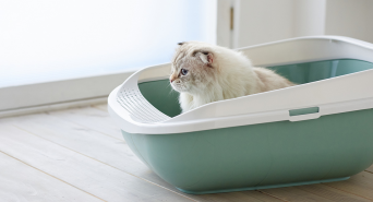 株式会社オーエフティーのプレスリリース画像