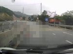 おいおいマジかよ…！　道路を横切っていたのは〇〇だった…。