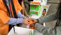 こたつでみかんを食べる……だけじゃない！  『東大みかん愛好会』ってどんな活動をしているの？