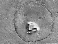 火星にクマー？火星の地表に巨大なクマの顔が発見される