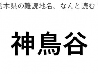 ヒント：○○○のや