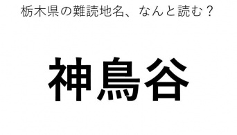 ヒント：○○○のや