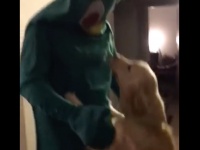 ご主人の変装に一瞬ビビるも意外とお見通し？　ハロウィンにはしゃぐワンコがかわいすぎる！