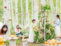 「白樺スイーツツリーで優雅に楽しむトマムピクニック」