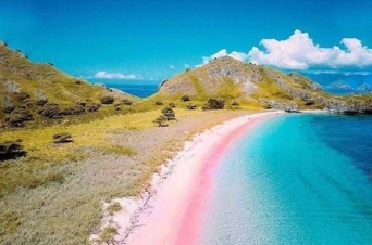 インスタ映えってレベルじゃないぞ！コモド島のピンクビーチのピンクと青のグラデーションが超絶綺麗！（インドネシア）