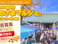 株式会社エムディーのプレスリリース画像